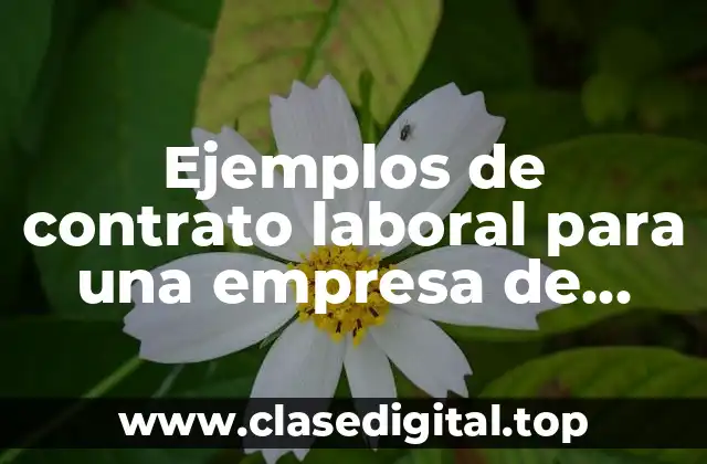 Ejemplos de contrato laboral para una empresa de quesos