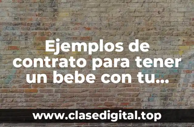 Ejemplos de contrato para tener un bebe con tu pareja