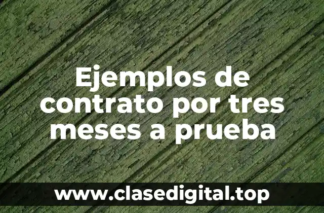 Ejemplos de contratos por tres meses a prueba