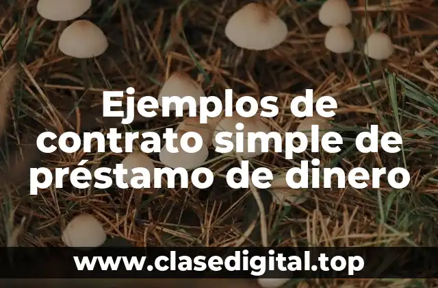 Ejemplos de contrato simple de préstamo de dinero