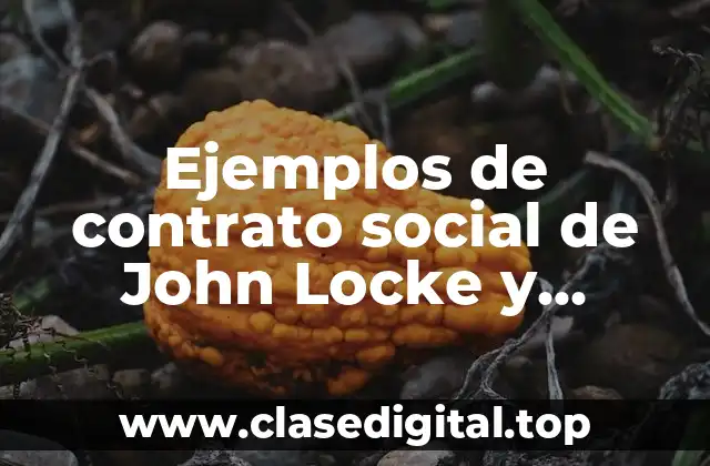 Ejemplos de contrato social de John Locke y Significado
