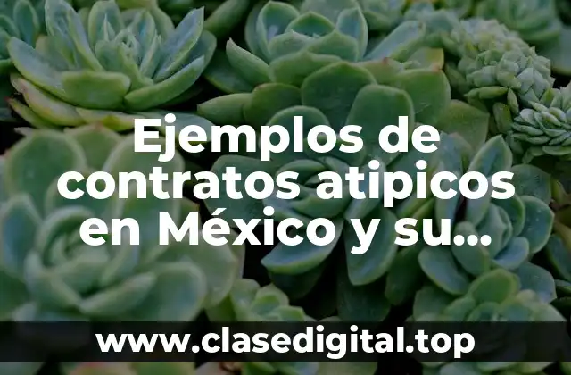 Ejemplos de contratos atipicos