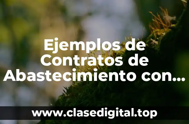 Ejemplos de Contratos de Abastecimiento con Proveedores