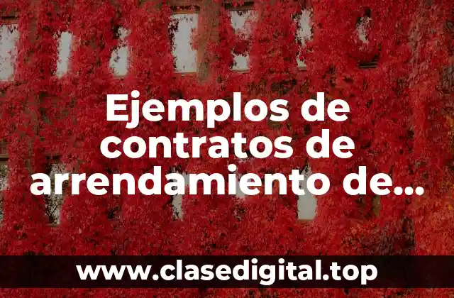 Ejemplos de contratos de arrendamiento de locales comerciales