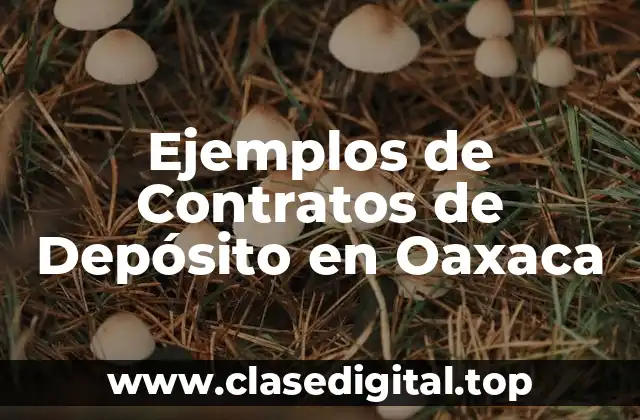 Ejemplos de Contratos de Depósito en Oaxaca