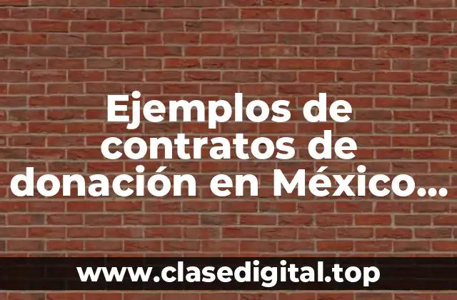 Ejemplos de contratos de donación en México y Significado
