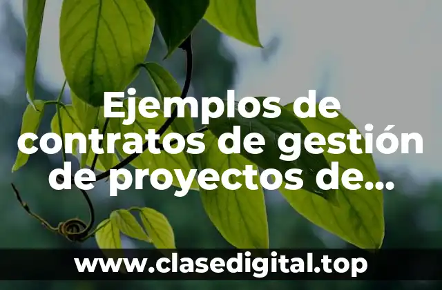 Ejemplos de contratos de gestión de proyectos de software y Significado