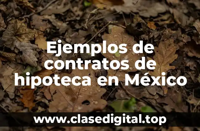 Ejemplos de contratos de hipoteca en México