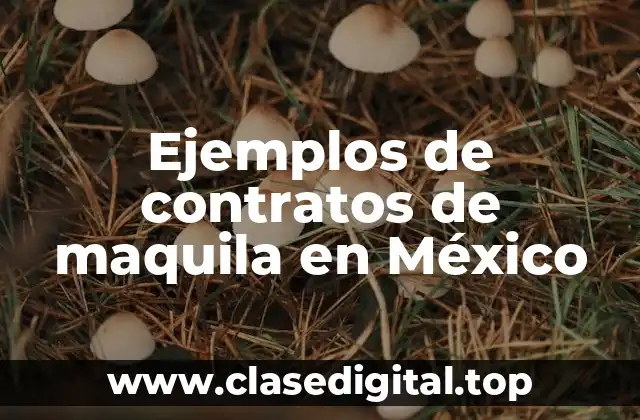 Ejemplos de contratos de maquila en México