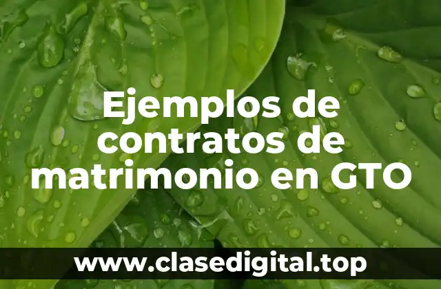 Ejemplos de contratos de matrimonio en GTO