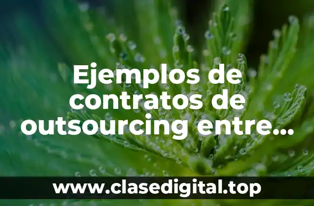 Ejemplos de contratos de outsourcing entre empresas