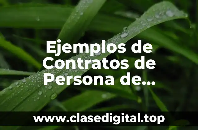 Ejemplos de Contratos de Persona de Confianza