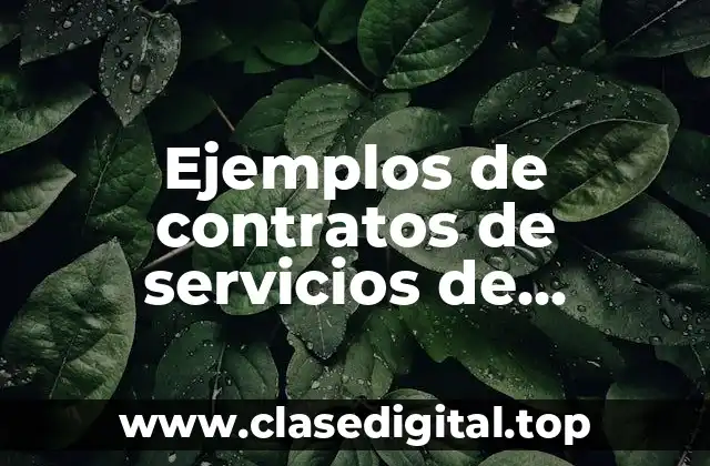 Ejemplos de contratos de servicios de intendencia en escuelas