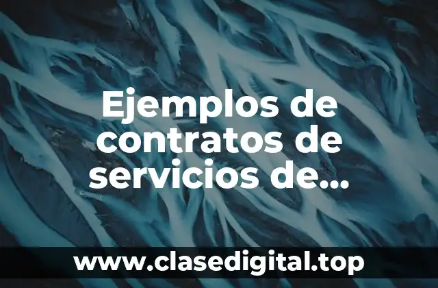 Ejemplos de contratos de servicios de software