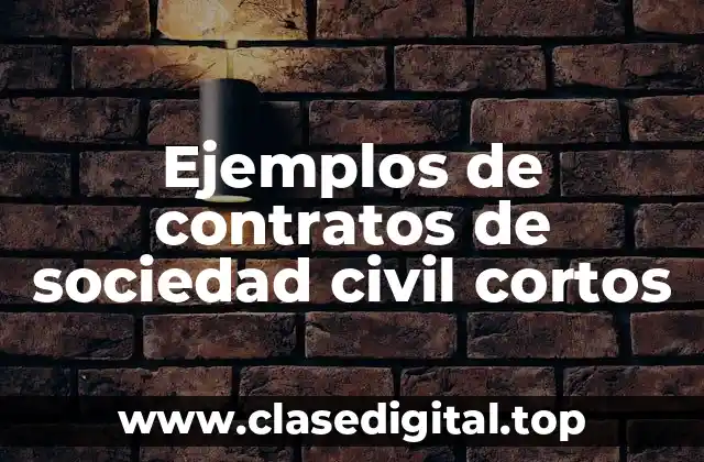 Ejemplos de contratos de sociedad civil cortos