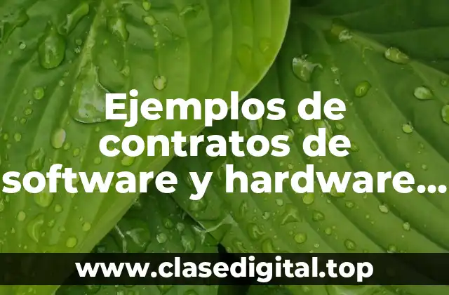 Ejemplos de contratos de software y hardware
