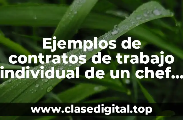 Ejemplos de contratos de trabajo individual de un chef