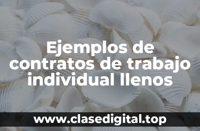 Ejemplos de contratos de trabajo individual llenos