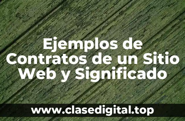 Ejemplos de Contratos de un Sitio Web y Significado