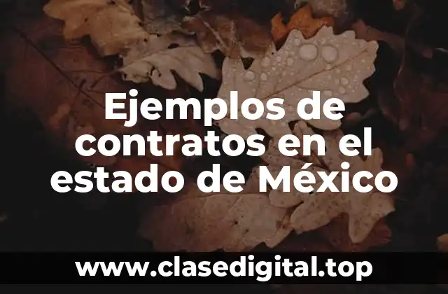 Ejemplos de contratos en el estado de México