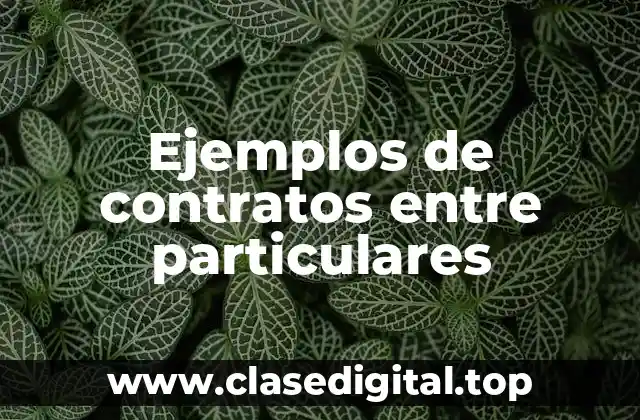 Ejemplos de contratos entre particulares