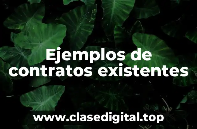 Ejemplos de contratos existentes
