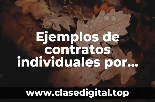 Ejemplos de contratos individuales por tiempo indefinido