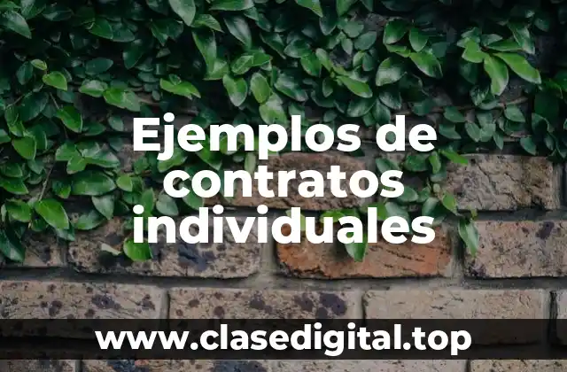 Ejemplos de contratos individuales