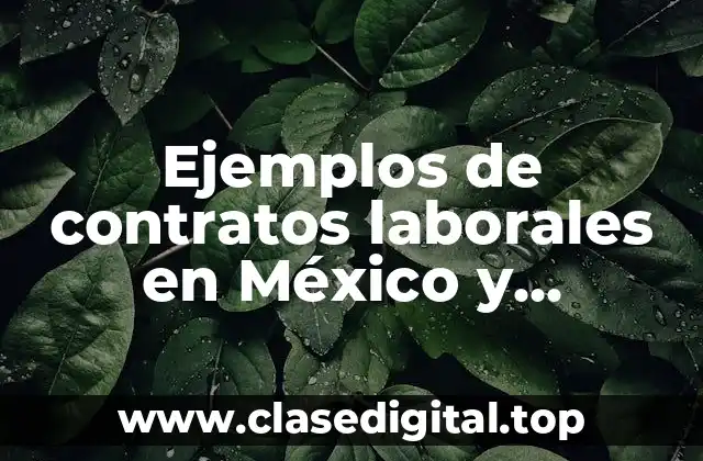Ejemplos de contratos laborales