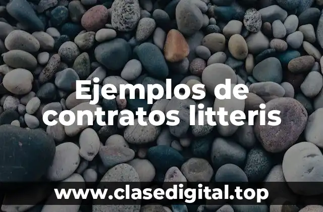 Ejemplos de contratos litteris