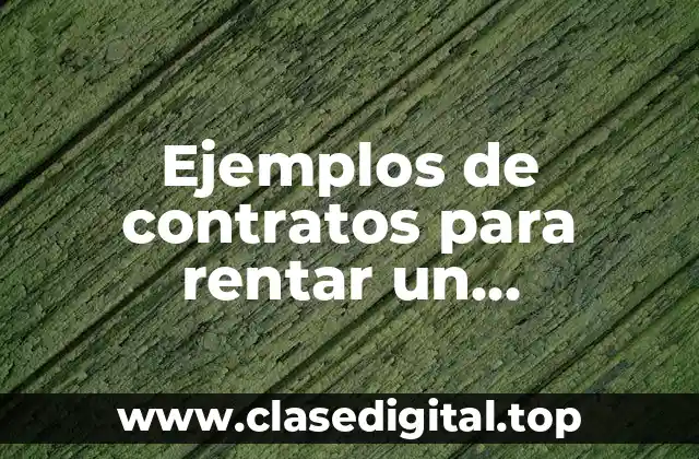 Ejemplos de contratos para rentar un departamento