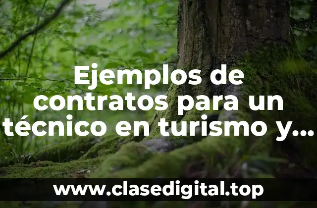 Ejemplos de contratos para un técnico en turismo y Significado