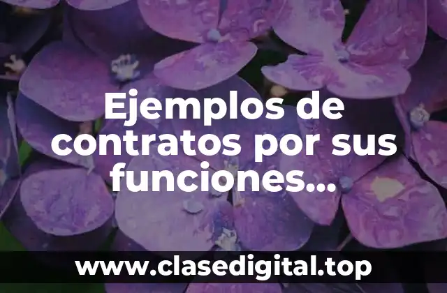 Ejemplos de contratos por sus funciones económicas y sociales