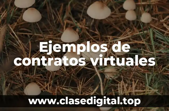Ejemplos de contratos virtuales