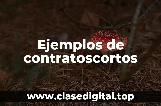 Ejemplos de contratoscortos