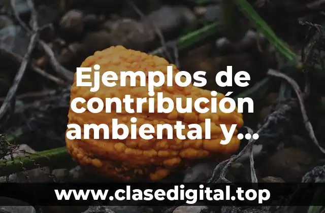 Ejemplos de contribución ambiental y Significado