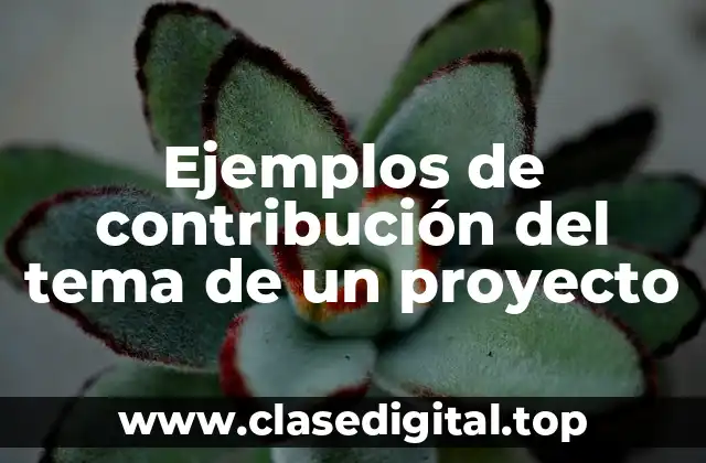 Ejemplos de contribución del tema de un proyecto