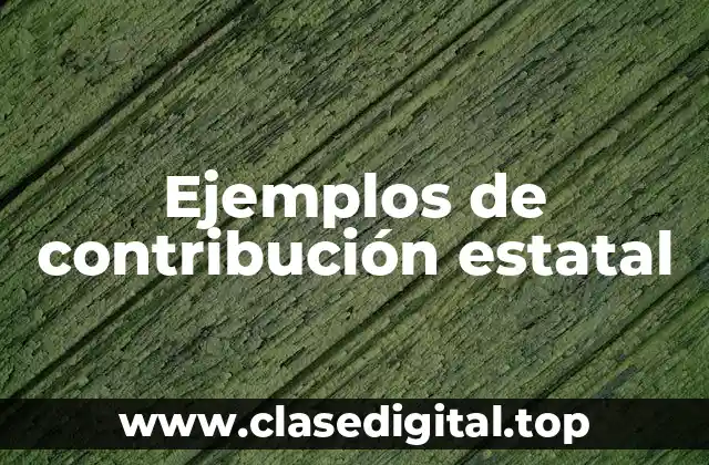 Ejemplos de contribución estatal