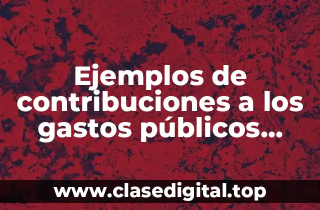 Ejemplos de contribuciones a los gastos públicos según la CFF