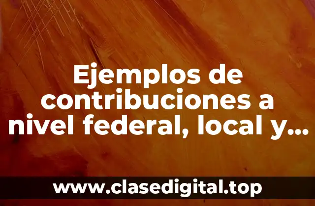 Ejemplos de contribuciones a nivel federal, local y municipal