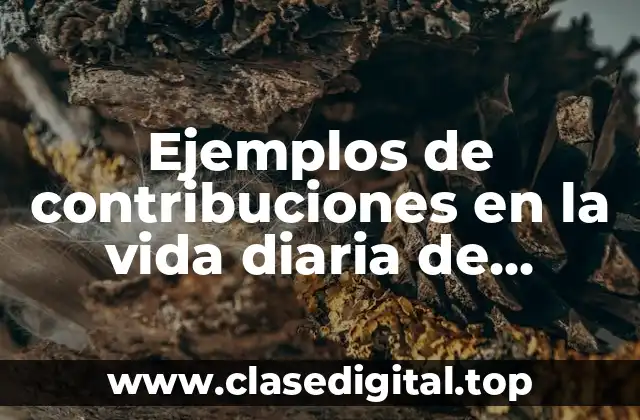Ejemplos de contribuciones en la vida diaria de ciencias formales