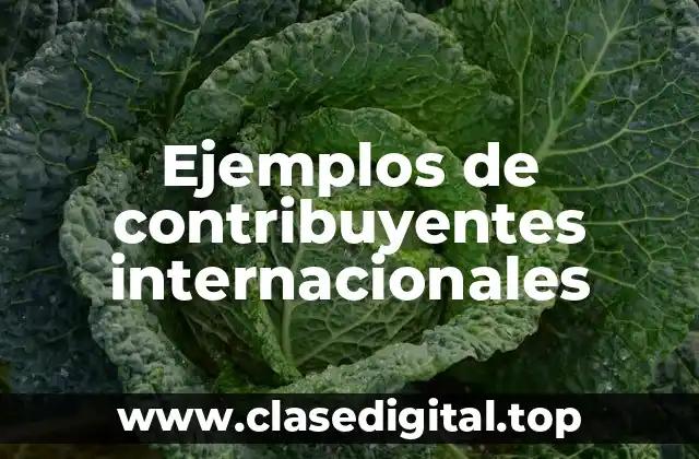 Ejemplos de contribuyentes internacionales