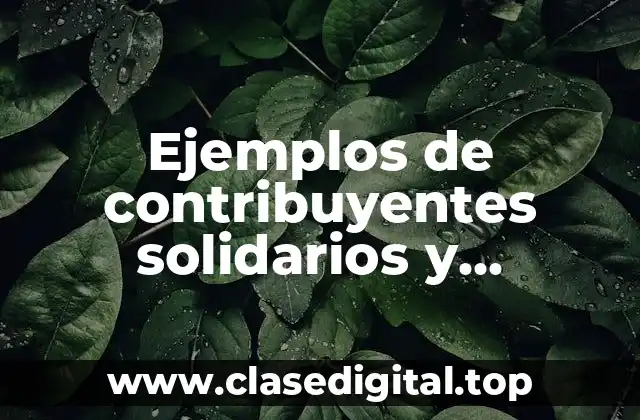 Ejemplos de contribuyentes solidarios y Significado