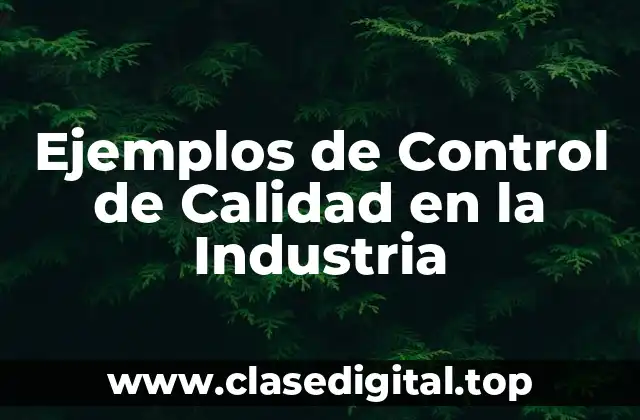 Ejemplos de Control de Calidad en la Industria