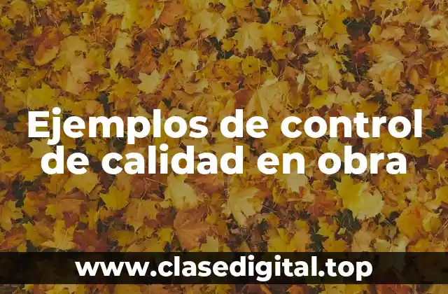 Ejemplos de control de calidad en obra