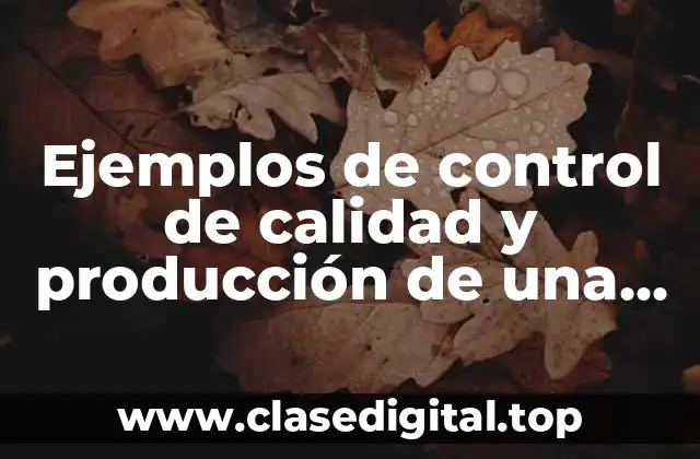Ejemplos de control de calidad y producción