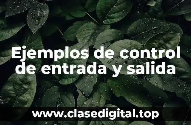 Ejemplos de control de entrada y salida