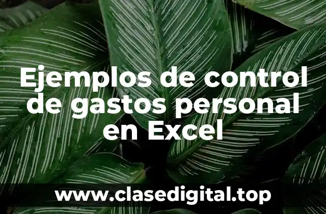 Ejemplos de control de gastos personal en Excel