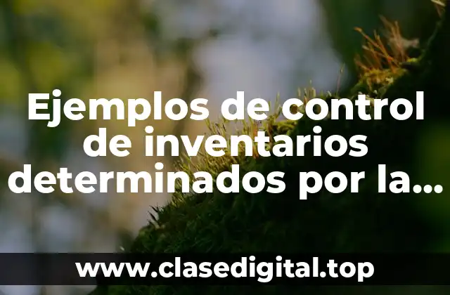 Ejemplos de control de inventarios determinados por la oferta