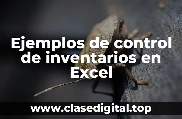 Ejemplos de control de inventarios en Excel
